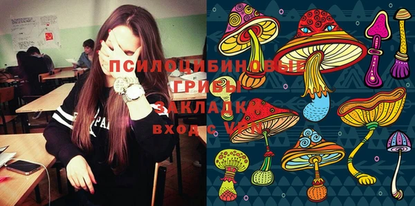apvp Бугульма