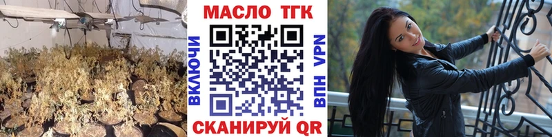 ТГК гашишное масло  продажа наркотиков  Киржач 