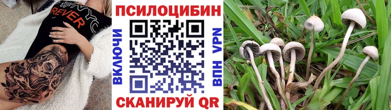 Псилоцибиновые грибы мухоморы  даркнет сайт  Киржач 
